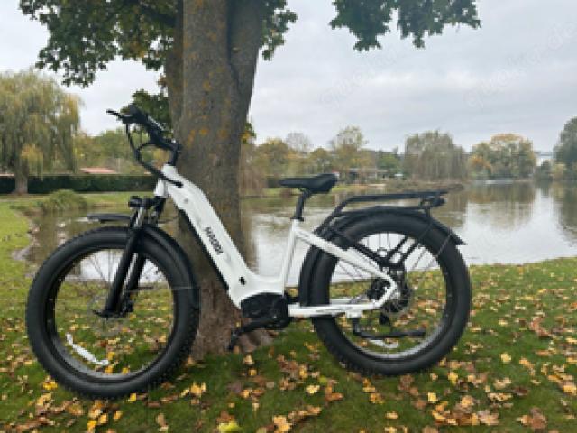 Ein Neu Elektrofahrrad - 1